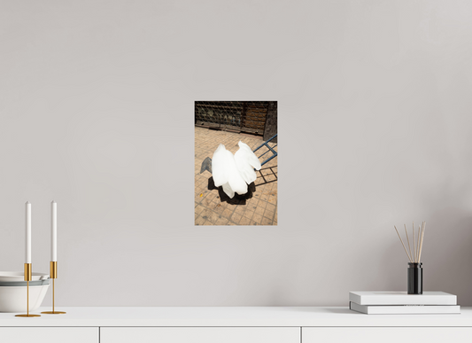 20 x 30 cm, Baryta unframed Hielo