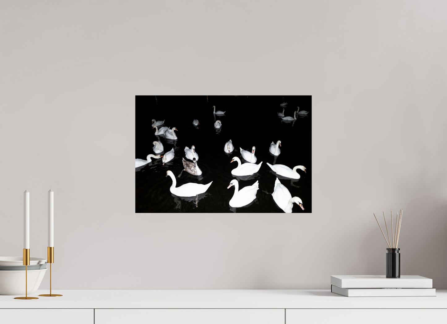 45 x 30 cm, Baryta unframed Schwäne